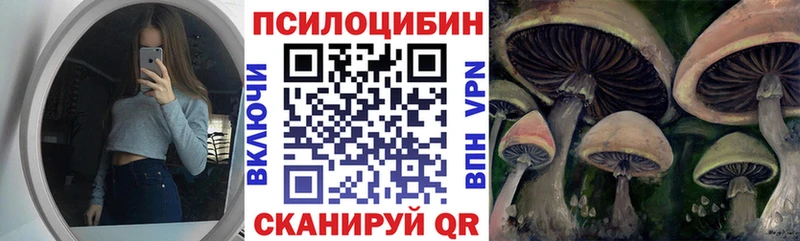 Псилоцибиновые грибы Cubensis Купить где Подольск